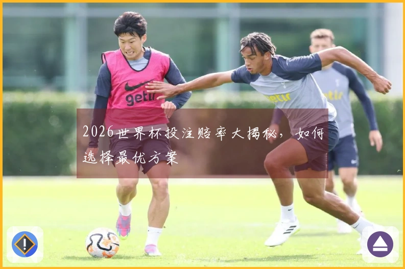 2026世界杯投注赔率大揭秘，如何选择最优方案