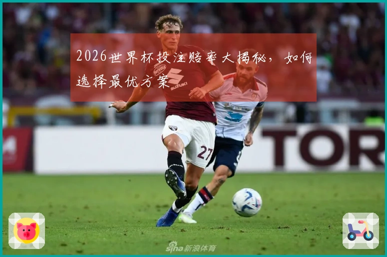 2026世界杯投注赔率大揭秘，如何选择最优方案