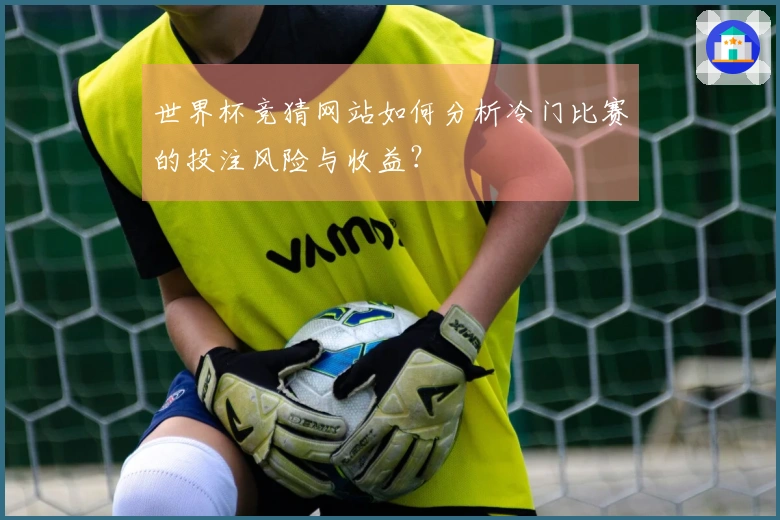 世界杯竞猜网站如何分析冷门比赛的投注风险与收益？