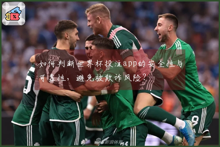 如何判断世界杯投注app的安全性与可靠性，避免被欺诈风险？