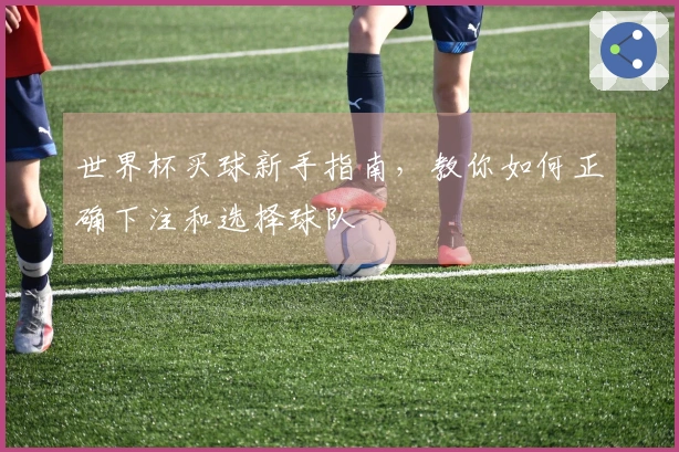 世界杯买球新手指南，教你如何正确下注和选择球队