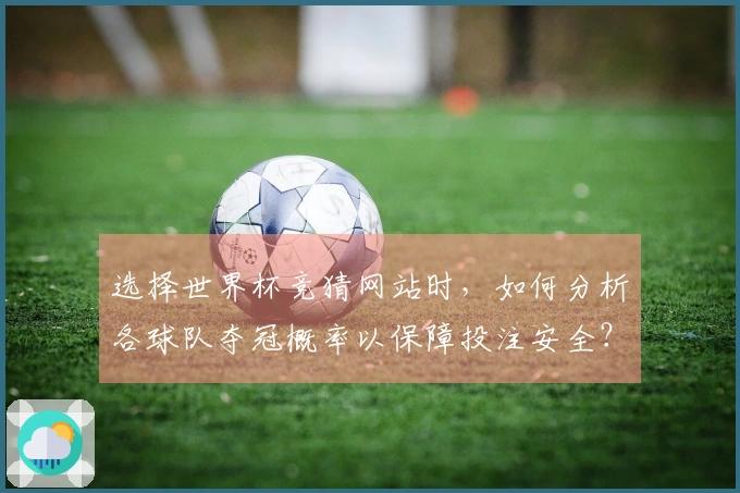 选择世界杯竞猜网站时，如何分析各球队夺冠概率以保障投注安全？