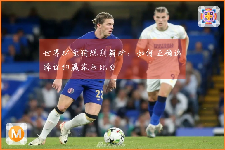 世界杯竞猜规则解析，如何正确选择你的赢家和比分