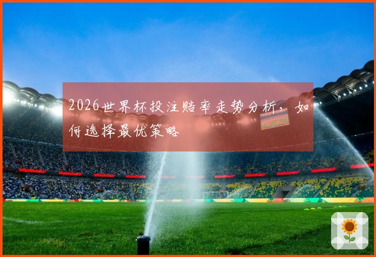 2026世界杯投注赔率走势分析，如何选择最优策略
