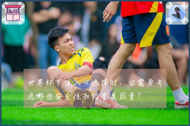 世界杯下注入口选择时，你需要考虑哪些安全性和信誉度因素？
