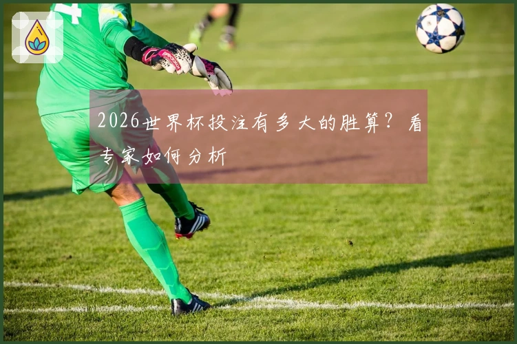 2026世界杯投注有多大的胜算？看专家如何分析