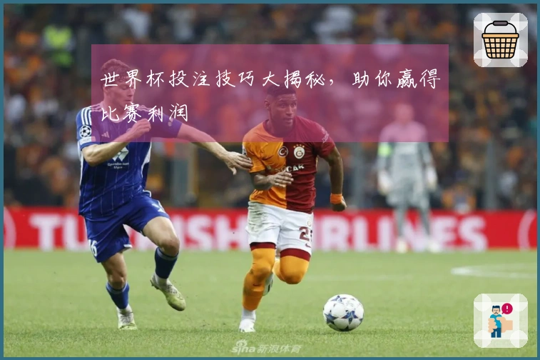 世界杯投注技巧大揭秘，助你赢得比赛利润