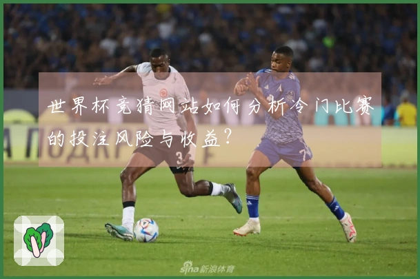 世界杯竞猜网站如何分析冷门比赛的投注风险与收益？