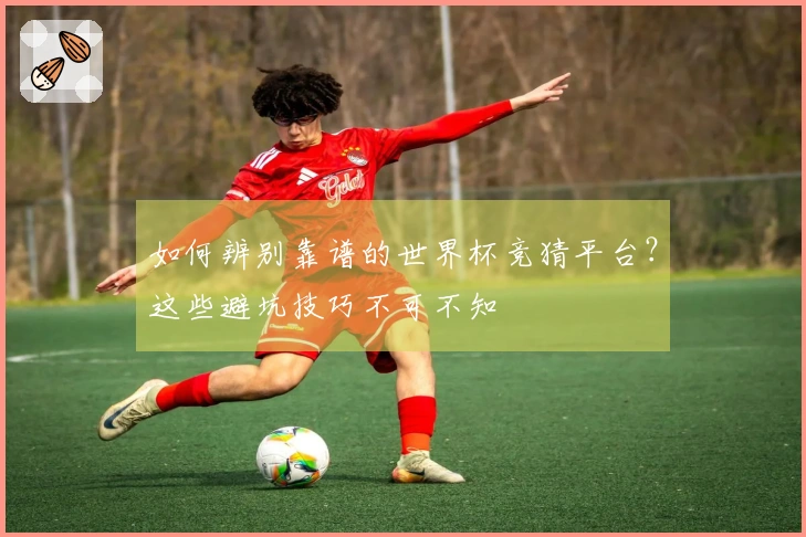 如何辨别靠谱的世界杯竞猜平台？这些避坑技巧不可不知