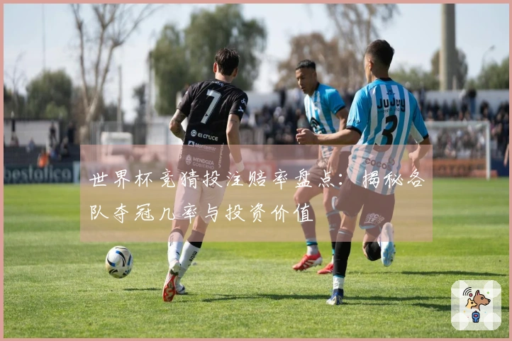 世界杯竞猜投注赔率盘点：揭秘各队夺冠几率与投资价值