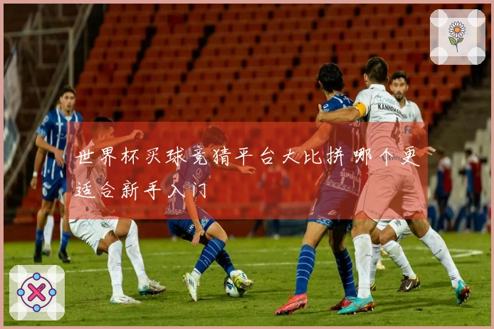 世界杯买球竞猜平台大比拼 哪个更适合新手入门