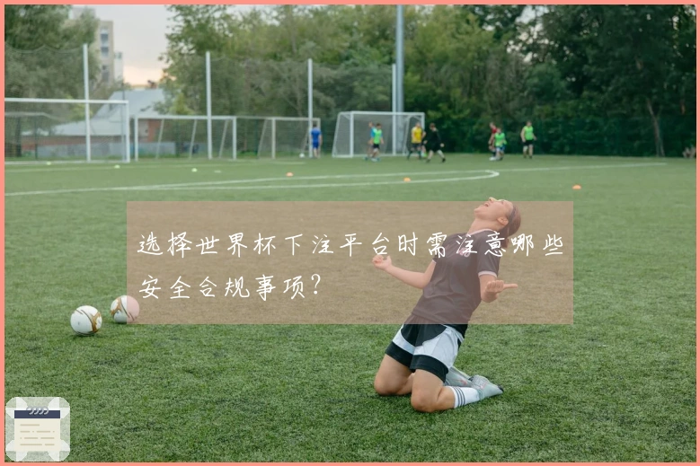 选择世界杯下注平台时需注意哪些安全合规事项？