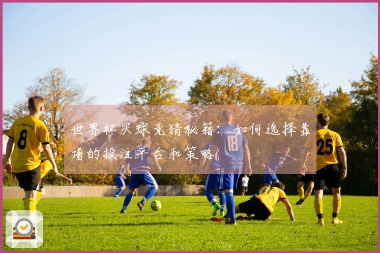 世界杯买球竞猜秘籍：如何选择靠谱的投注平台和策略