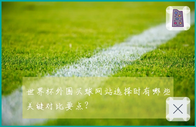世界杯外围买球网站选择时有哪些关键对比要点？