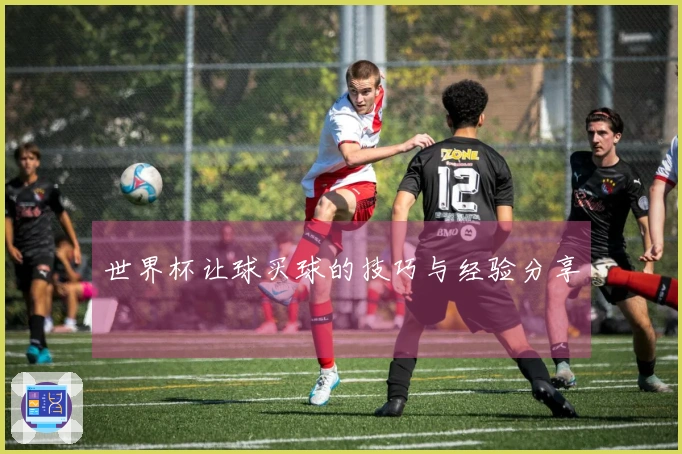 世界杯让球买球的技巧与经验分享