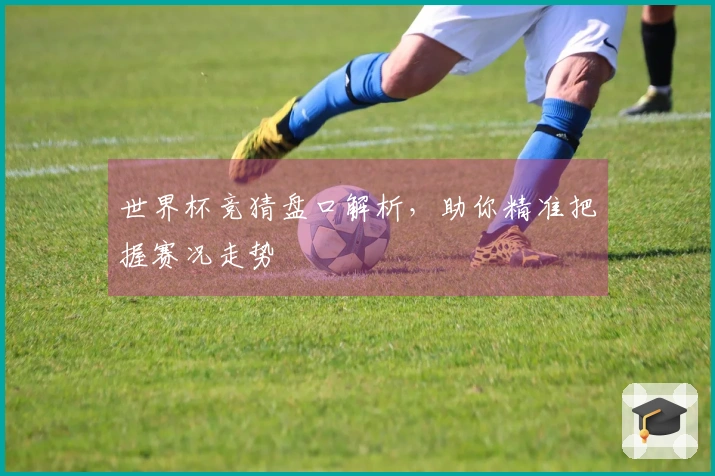 世界杯竞猜盘口解析，助你精准把握赛况走势