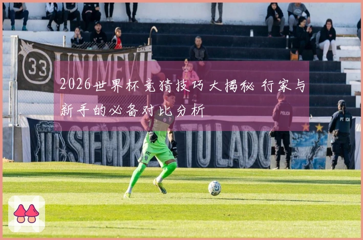 2026世界杯竞猜技巧大揭秘 行家与新手的必备对比分析
