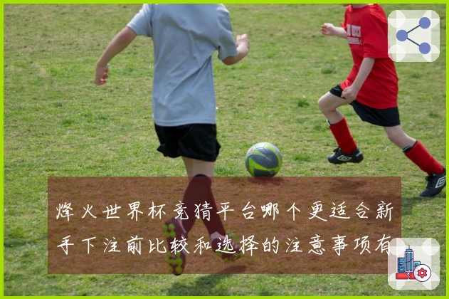 烽火世界杯竞猜平台哪个更适合新手下注前比较和选择的注意事项有哪些