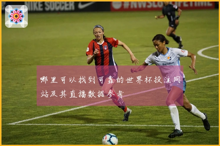哪里可以找到可靠的世界杯投注网站及其直播数据参考