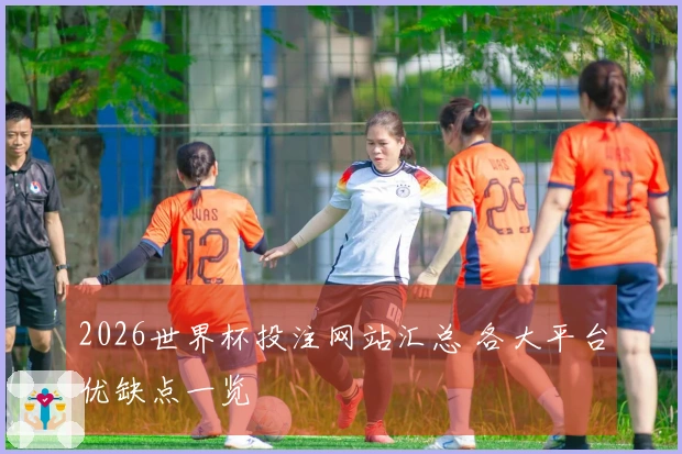 2026世界杯投注网站汇总 各大平台优缺点一览