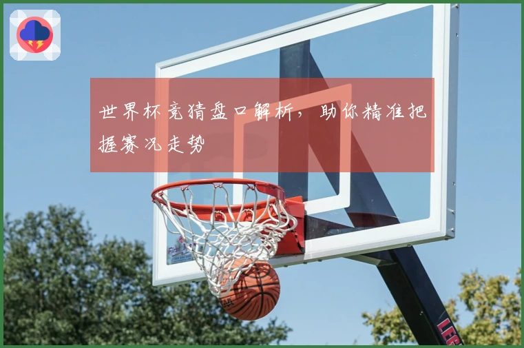 世界杯竞猜盘口解析,助你精准把握赛况走势