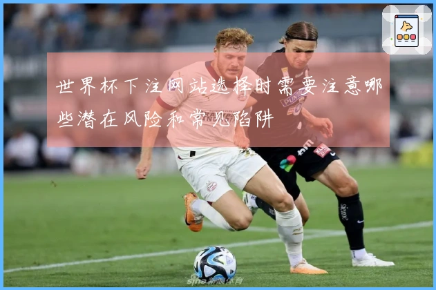 世界杯下注网站选择时需要注意哪些潜在风险和常见陷阱