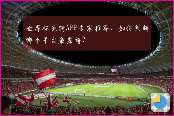 世界杯竞猜APP专家推荐,如何判断哪个平台最靠谱?