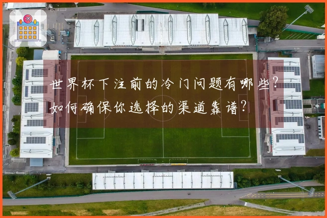 世界杯下注前的冷门问题有哪些？如何确保你选择的渠道靠谱？