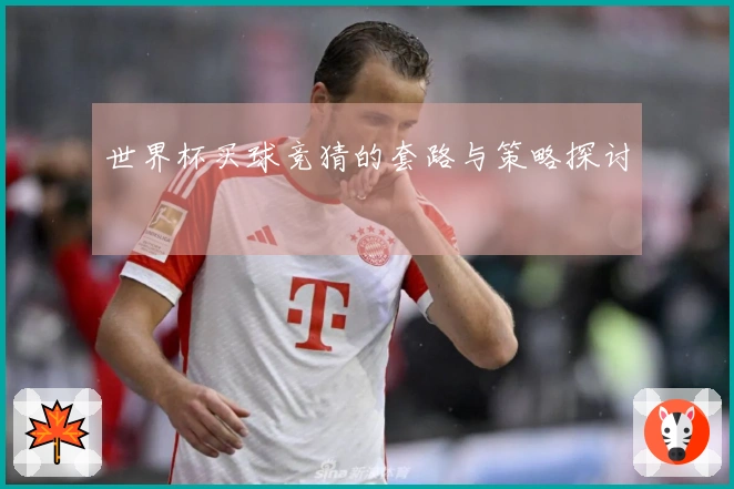 世界杯买球竞猜的套路与策略探讨
