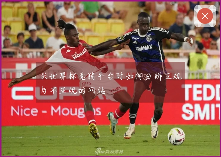 买世界杯竞猜平台时如何分辨正规与不正规的网站