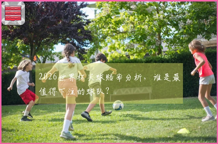 2026世界杯买球赔率分析，谁是最值得下注的球队？