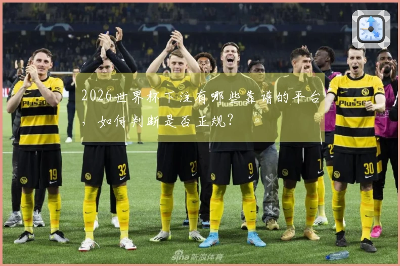 2026世界杯下注有哪些靠谱的平台，如何判断是否正规？