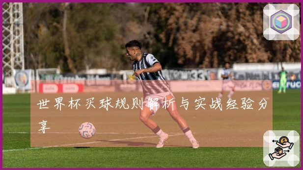 世界杯买球规则解析与实战经验分享